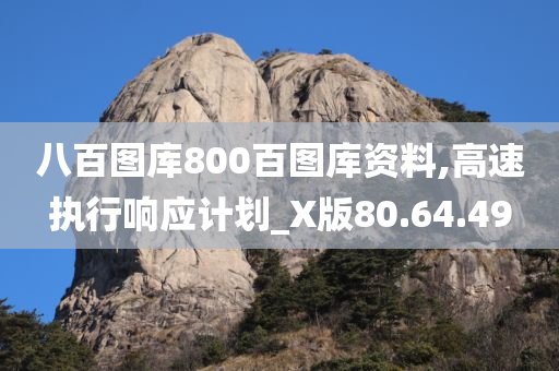 八百图库800百图库资料,高速执行响应计划_X版80.64.49