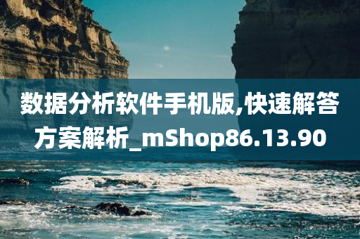 数据分析软件手机版,快速解答方案解析_mShop86.13.90