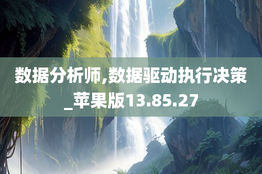 数据分析师,数据驱动执行决策_苹果版13.85.27