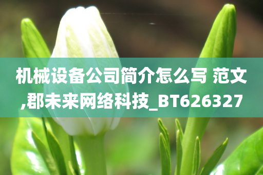 机械设备公司简介怎么写 范文,郡未来网络科技_BT626327