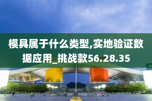 模具属于什么类型,实地验证数据应用_挑战款56.28.35