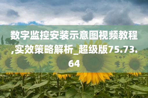 数字监控安装示意图视频教程,实效策略解析_超级版75.73.64