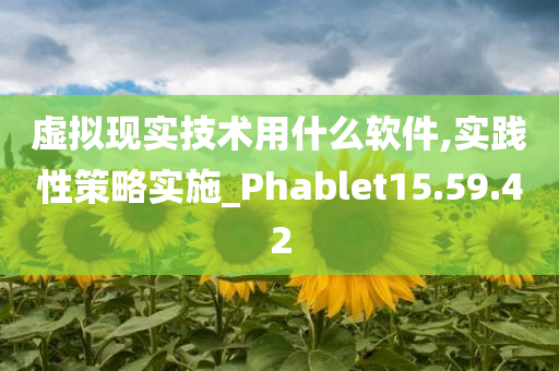 虚拟现实技术用什么软件,实践性策略实施_Phablet15.59.42