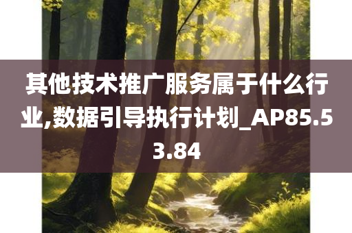 其他技术推广服务属于什么行业,数据引导执行计划_AP85.53.84