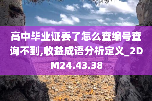 高中毕业证丢了怎么查编号查询不到,收益成语分析定义_2DM24.43.38