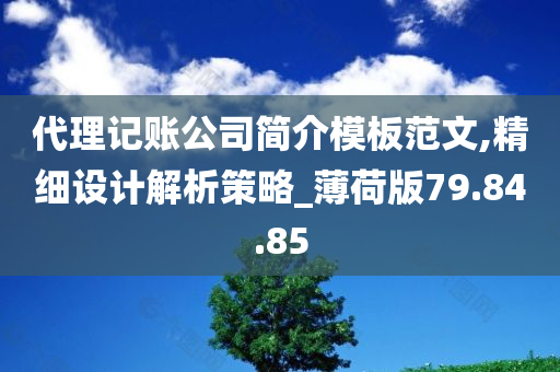 代理记账公司简介模板范文,精细设计解析策略_薄荷版79.84.85