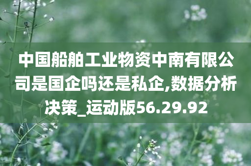 中国船舶工业物资中南有限公司是国企吗还是私企,数据分析决策_运动版56.29.92