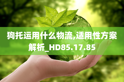 狗托运用什么物流,适用性方案解析_HD85.17.85