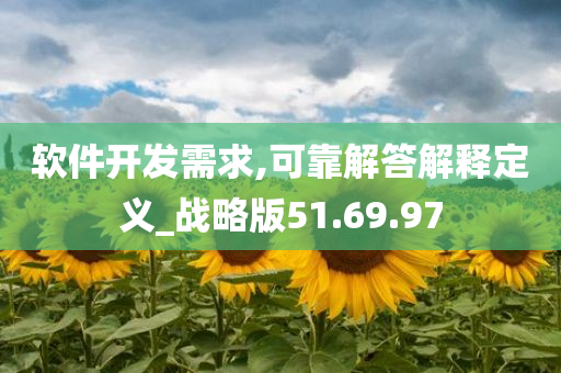 软件开发需求,可靠解答解释定义_战略版51.69.97