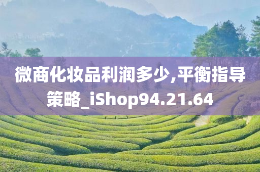 微商化妆品利润多少,平衡指导策略_iShop94.21.64