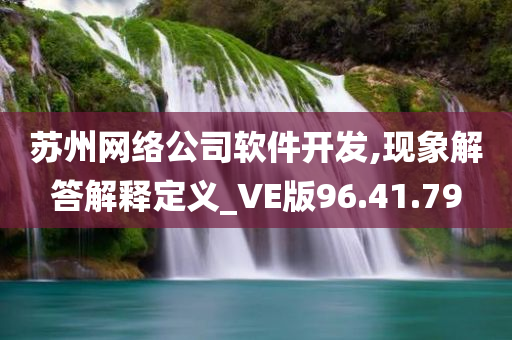 苏州网络公司软件开发,现象解答解释定义_VE版96.41.79