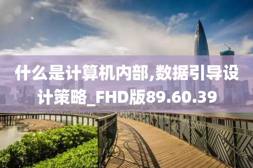 什么是计算机内部,数据引导设计策略_FHD版89.60.39