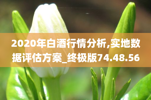 2020年白酒行情分析,实地数据评估方案_终极版74.48.56