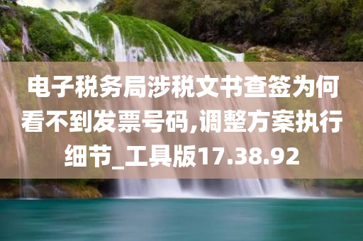 电子税务局涉税文书查签为何看不到发票号码,调整方案执行细节_工具版17.38.92