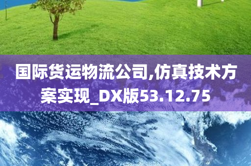 国际货运物流公司,仿真技术方案实现_DX版53.12.75