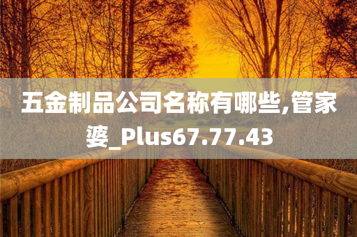 五金制品公司名称有哪些,管家婆_Plus67.77.43