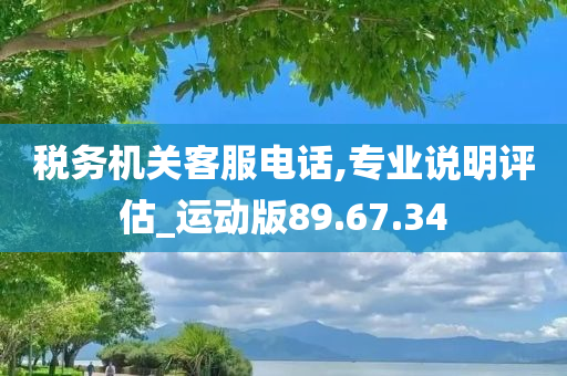 税务机关客服电话,专业说明评估_运动版89.67.34