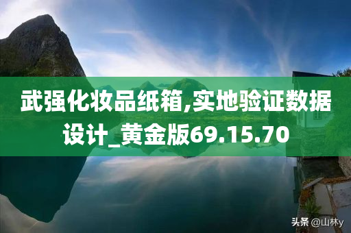 武强化妆品纸箱,实地验证数据设计_黄金版69.15.70