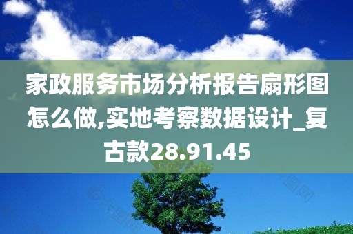 家政服务市场分析报告扇形图怎么做,实地考察数据设计_复古款28.91.45