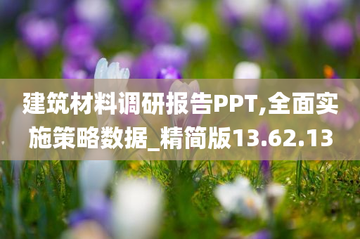 建筑材料调研报告PPT,全面实施策略数据_精简版13.62.13