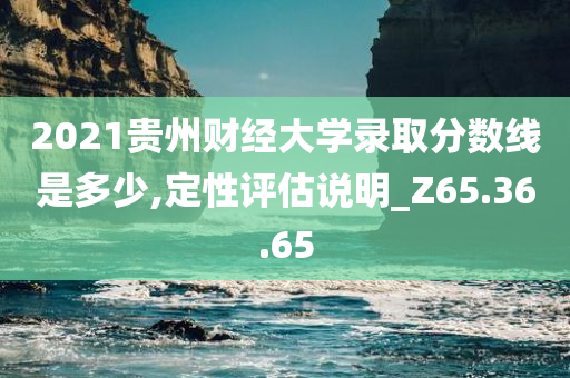 2021贵州财经大学录取分数线是多少,定性评估说明_Z65.36.65