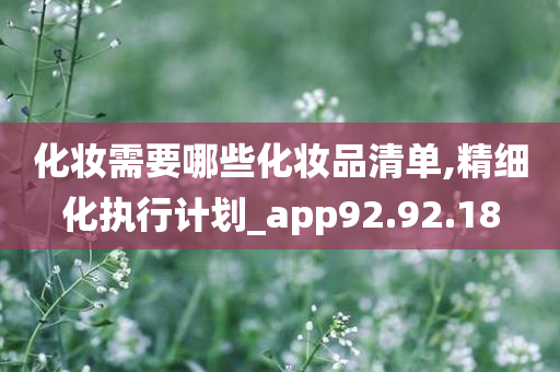 化妆需要哪些化妆品清单,精细化执行计划_app92.92.18