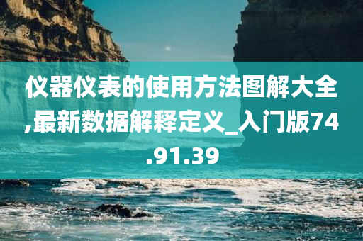 仪器仪表的使用方法图解大全,最新数据解释定义_入门版74.91.39