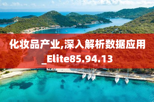 化妆品产业,深入解析数据应用_Elite85.94.13