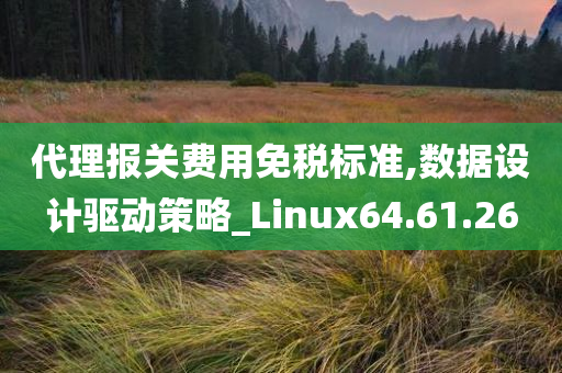 代理报关费用免税标准,数据设计驱动策略_Linux64.61.26