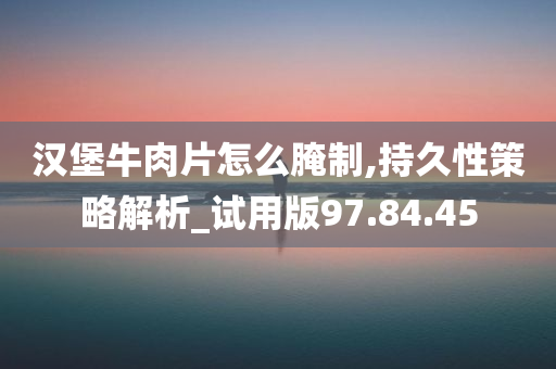 汉堡牛肉片怎么腌制,持久性策略解析_试用版97.84.45