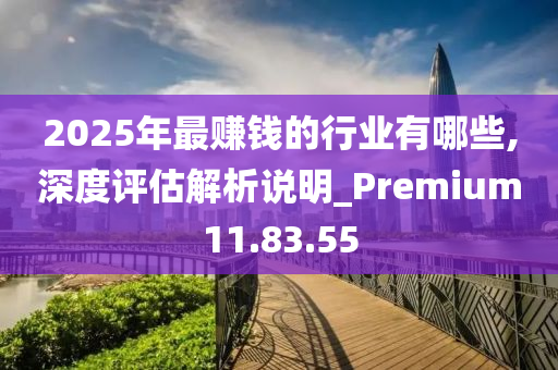 2025年最赚钱的行业有哪些,深度评估解析说明_Premium11.83.55