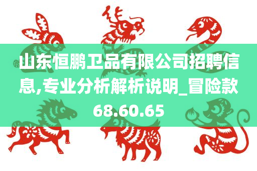 山东恒鹏卫品有限公司招聘信息,专业分析解析说明_冒险款68.60.65