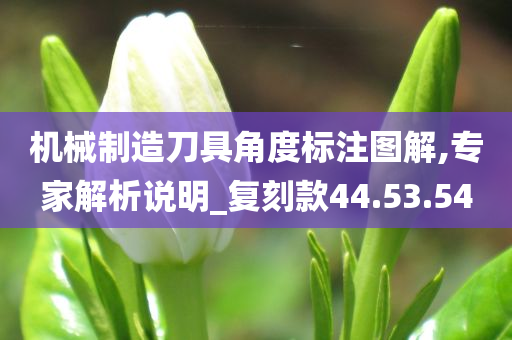 机械制造刀具角度标注图解,专家解析说明_复刻款44.53.54