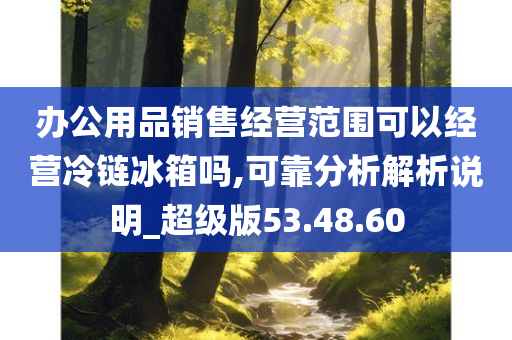 办公用品销售经营范围可以经营冷链冰箱吗,可靠分析解析说明_超级版53.48.60