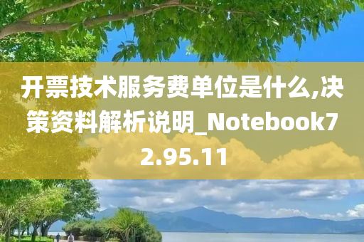 开票技术服务费单位是什么,决策资料解析说明_Notebook72.95.11