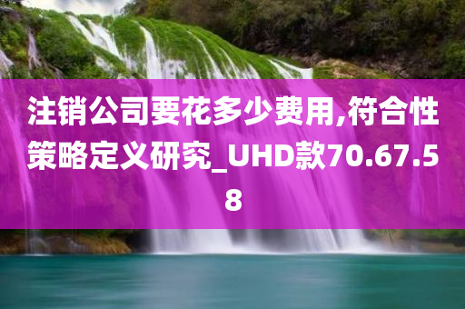 注销公司要花多少费用,符合性策略定义研究_UHD款70.67.58