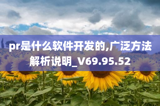 pr是什么软件开发的,广泛方法解析说明_V69.95.52