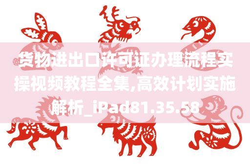 货物进出口许可证办理流程实操视频教程全集,高效计划实施解析_iPad81.35.58