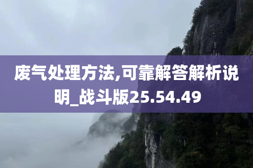 废气处理方法,可靠解答解析说明_战斗版25.54.49