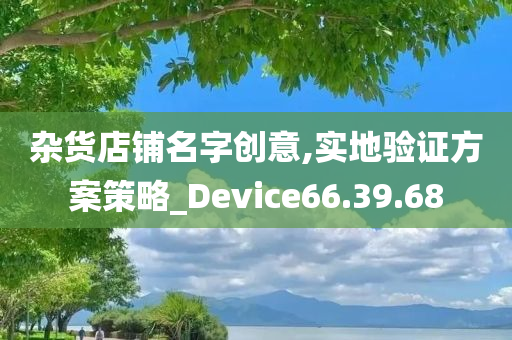 杂货店铺名字创意,实地验证方案策略_Device66.39.68