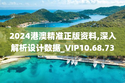 2024港澳精准正版资料,深入解析设计数据_VIP10.68.73