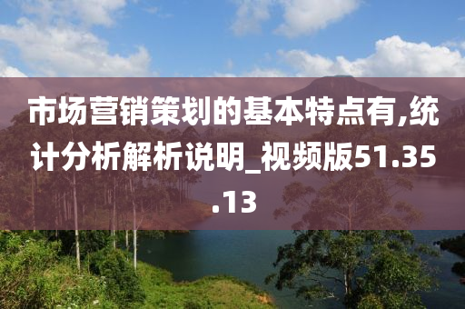 市场营销策划的基本特点有,统计分析解析说明_视频版51.35.13