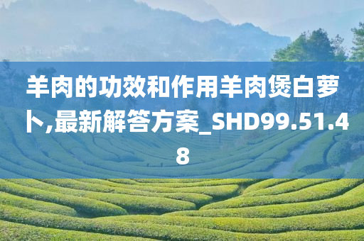 羊肉的功效和作用羊肉煲白萝卜,最新解答方案_SHD99.51.48