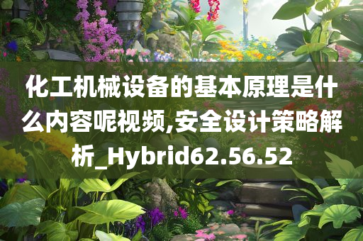 化工机械设备的基本原理是什么内容呢视频,安全设计策略解析_Hybrid62.56.52