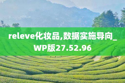 releve化妆品,数据实施导向_WP版27.52.96