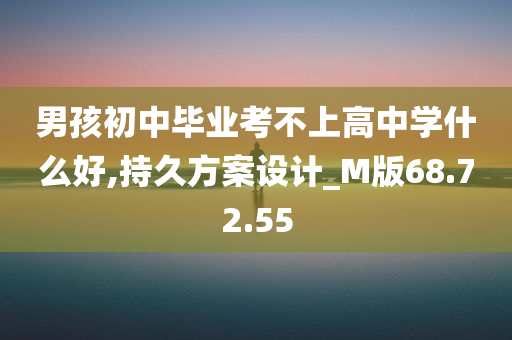 男孩初中毕业考不上高中学什么好,持久方案设计_M版68.72.55