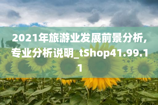 2021年旅游业发展前景分析,专业分析说明_tShop41.99.11