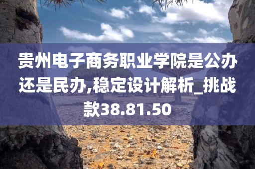 贵州电子商务职业学院是公办还是民办,稳定设计解析_挑战款38.81.50