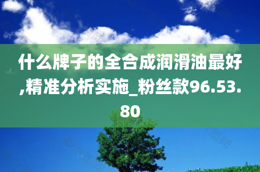 什么牌子的全合成润滑油最好,精准分析实施_粉丝款96.53.80