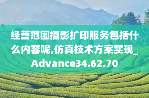 经营范围摄影扩印服务包括什么内容呢,仿真技术方案实现_Advance34.62.70